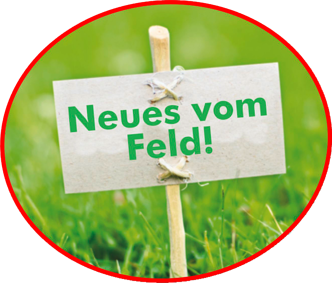 Neues vom Feld